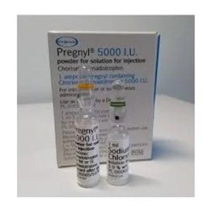 Buy HCG 5000iu/amp + 1ml solvent Organon Pregnyl