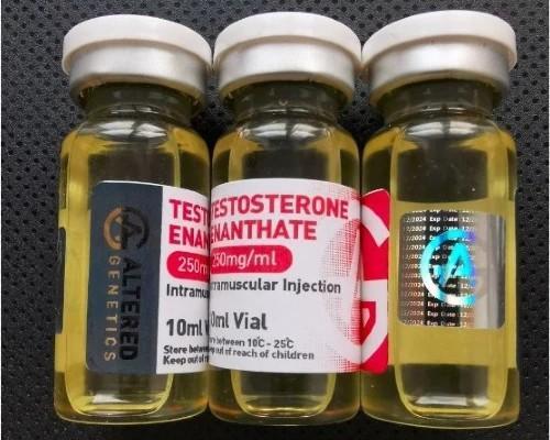 Buy Testosterone Enanthate 250mg/ml - 10ml Bottle